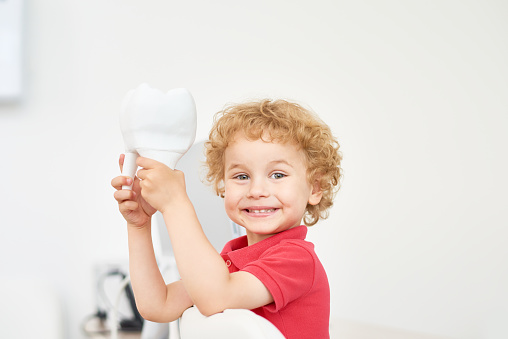 Smiling young boy holding a 3d model of a tooth at St. Helens Pediatric Dentistry in St Helens, OR